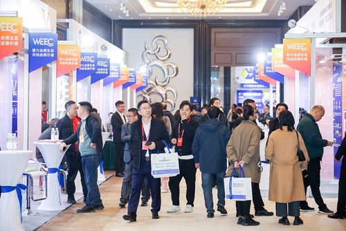 2025第三屆新質(zhì)會展 武漢展覽服務(wù)生態(tài)大會盛大啟幕，引領(lǐng)會議及展覽服務(wù)新篇章